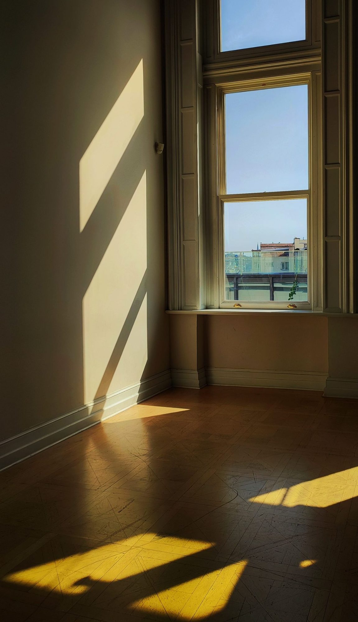 Afternoon daylight falling through a tall original sash window into an empty high-ceilinged room